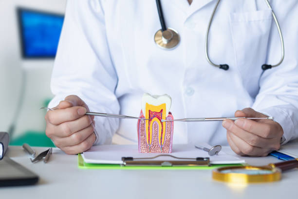 Best Emergency Root Canal Therapy in Revere, MA